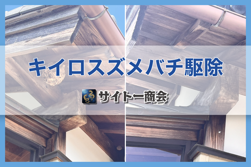 キイロスズメバチ駆除の施工前・施工後(サイトー商会)