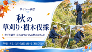 秋の草刈り・樹木伐採相談 アイキャッチ（イメージ画像）