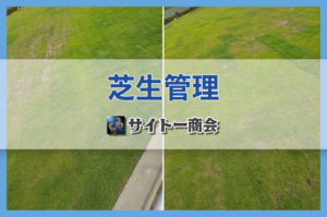 芝生管理の施工事例（ビフォーアフター）