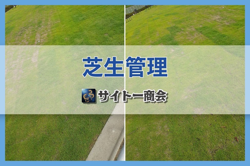 芝生管理の施工事例(ビフォーアフター)