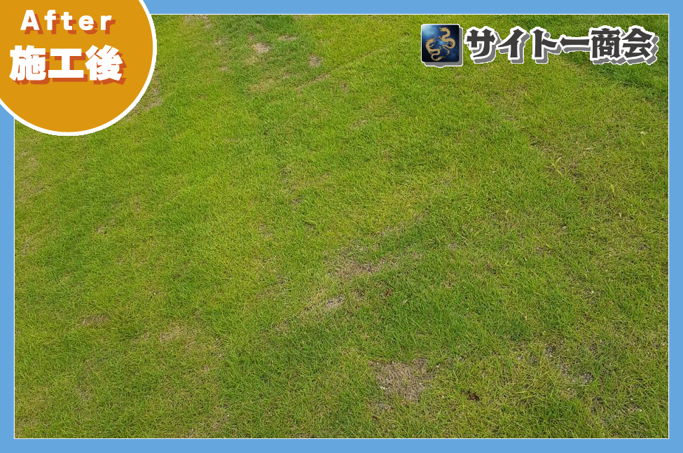 緑がそろって整った施工後の芝生